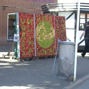 Frugtfestival i Sakskøbing